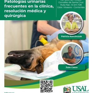 Patologías urinarias frecuentes en la clínica, resolución médica y quirúrgica