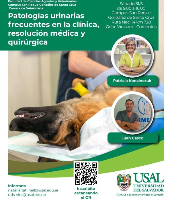Patologías urinarias frecuentes en la clínica, resolución médica y quirúrgica