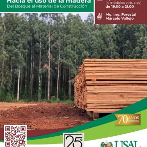 Hacia el uso de la madera.  Del Bosque al Material de Construcción