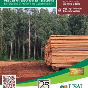 Hacia el uso de la madera.  Del Bosque al Material de Construcción